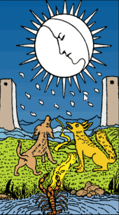 card-4